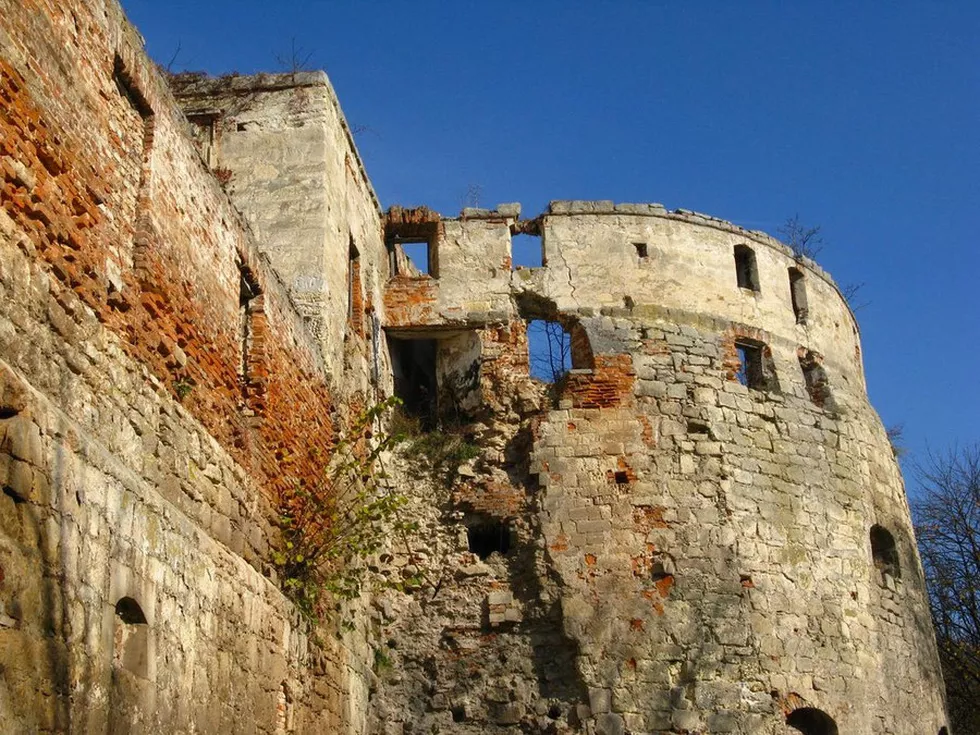 travel program image