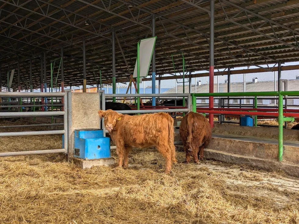 travel program image