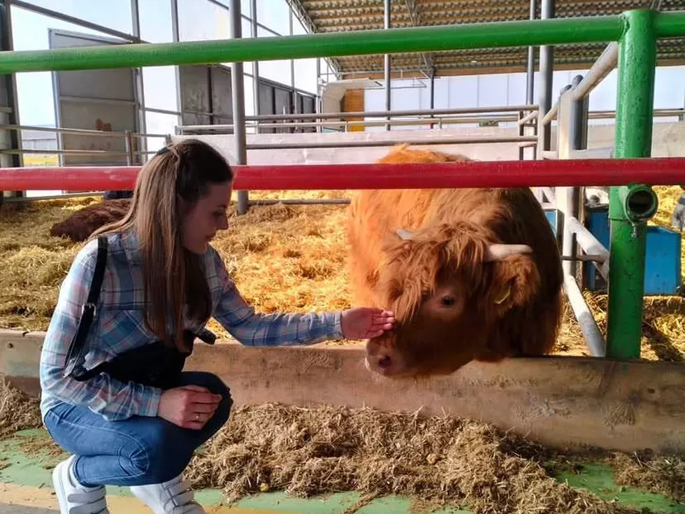 travel program image