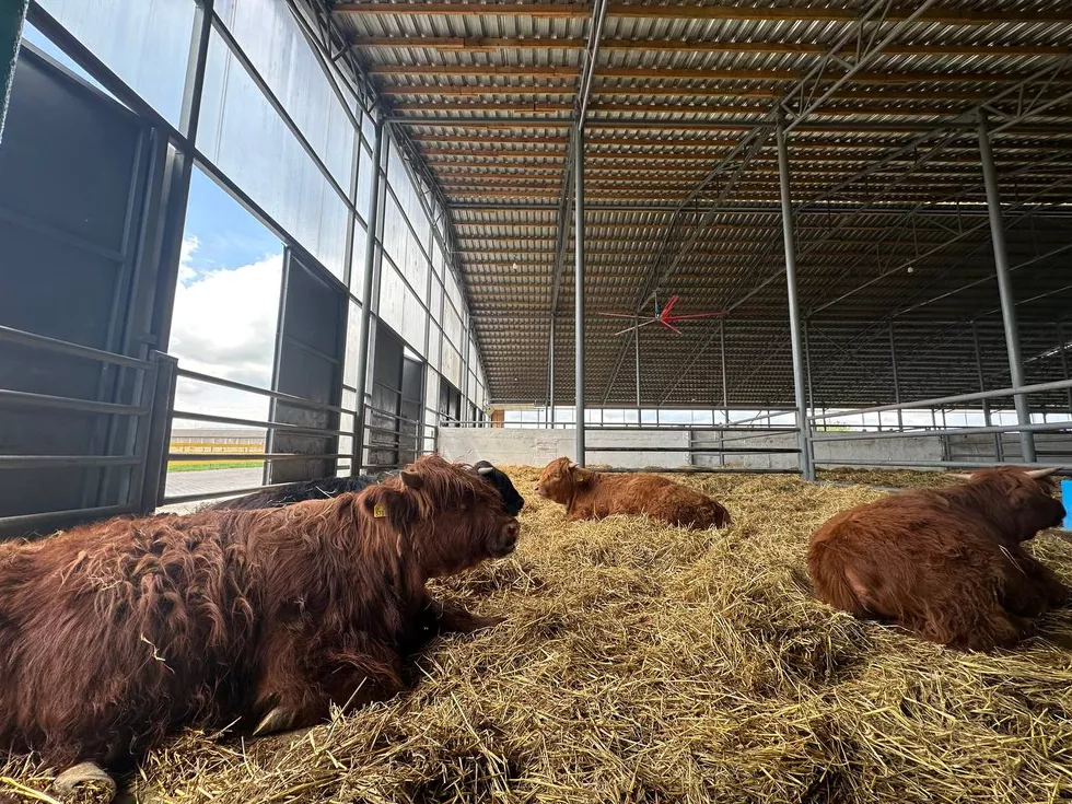 travel program image