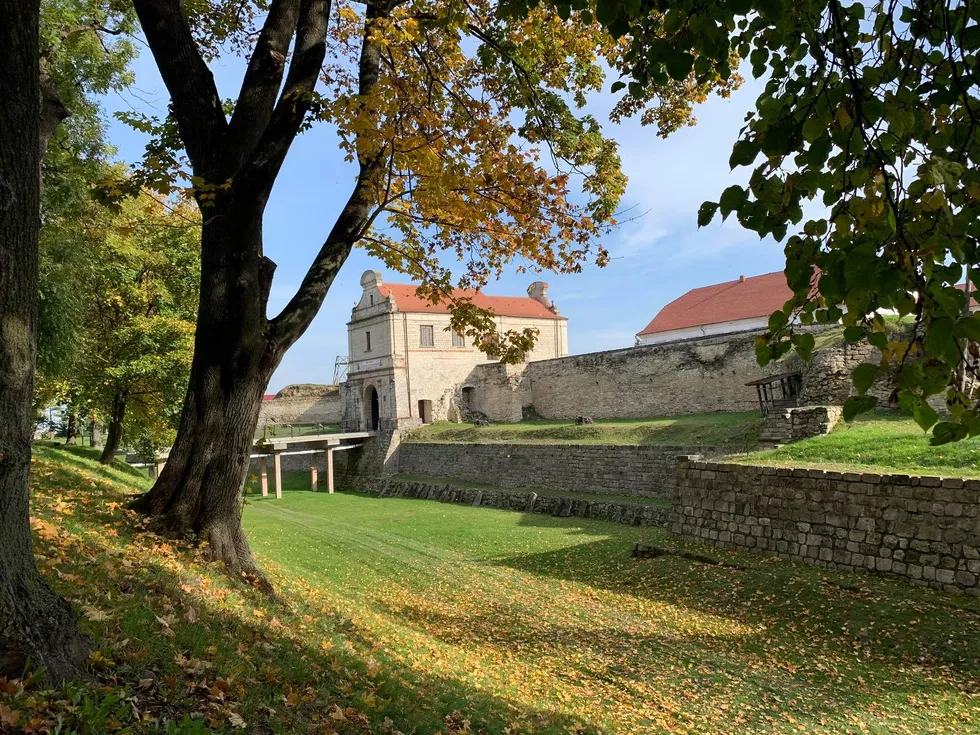 travel program image