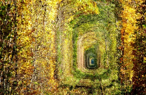 trip-tile-image