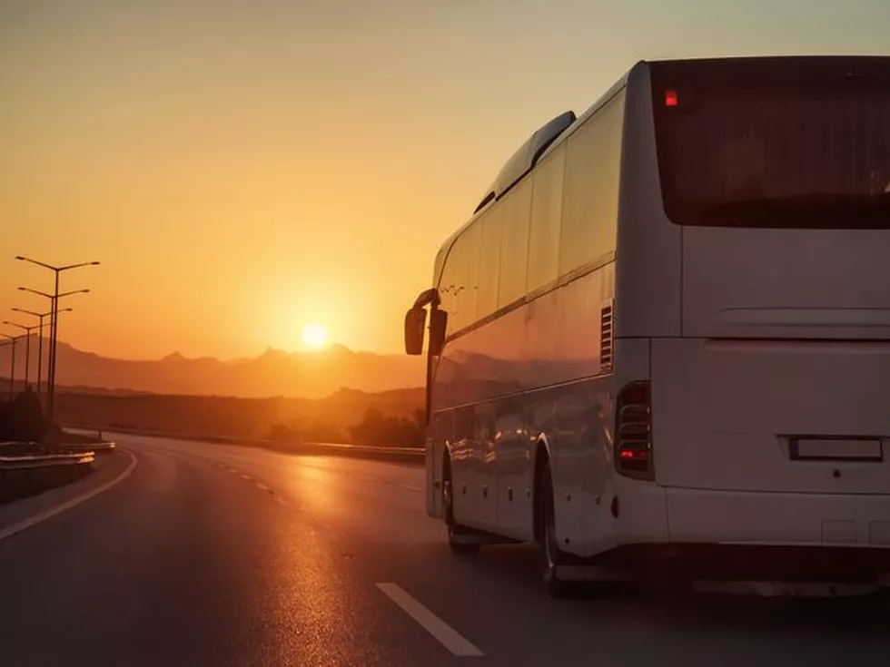 travel program image