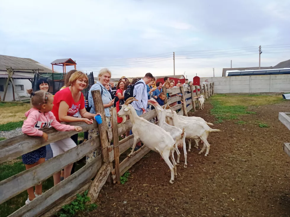 travel program image