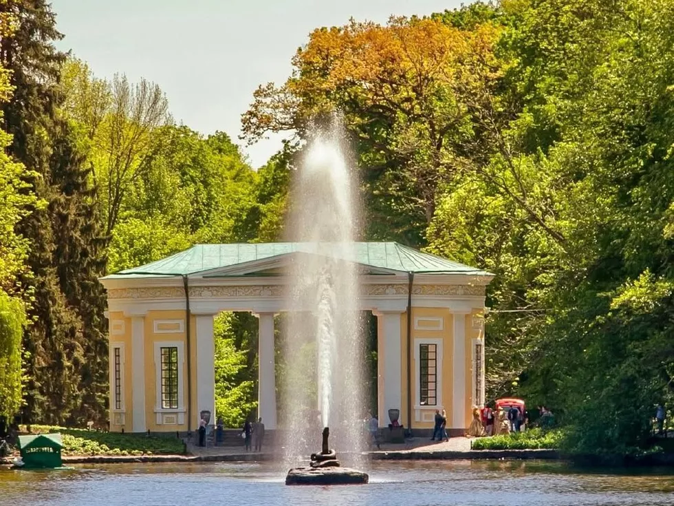 travel program image