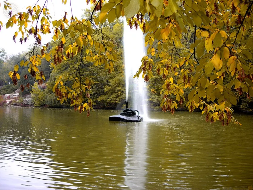 travel program image