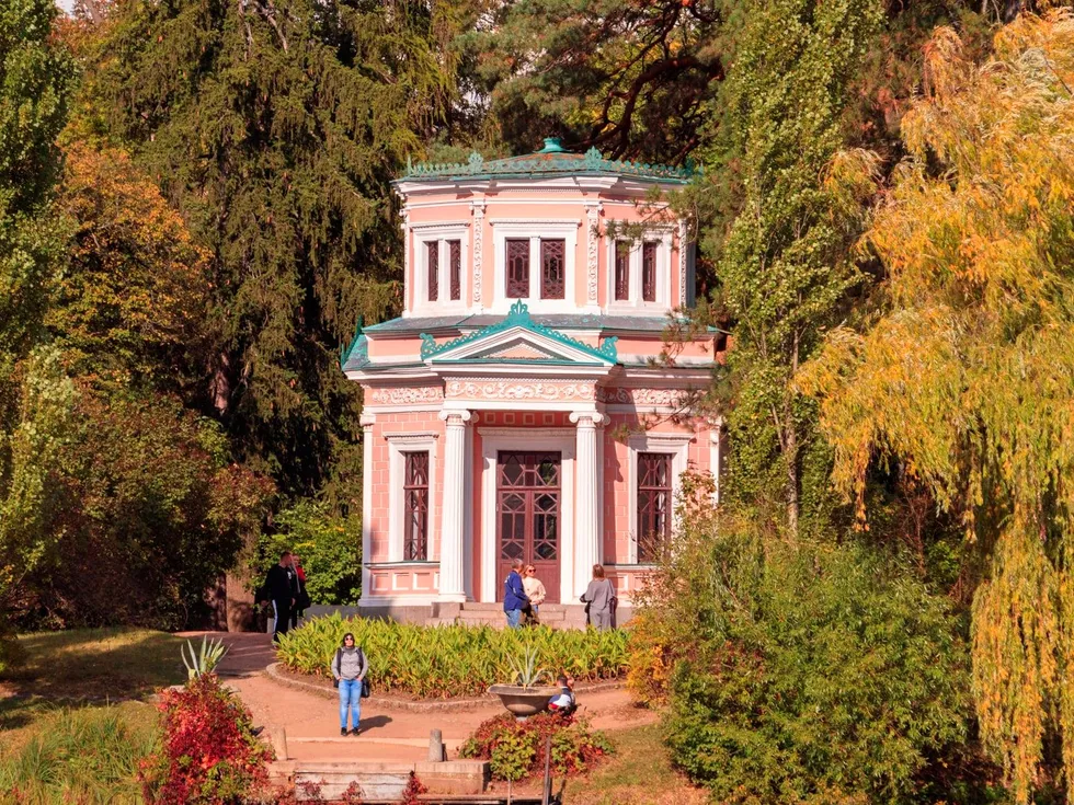 travel program image