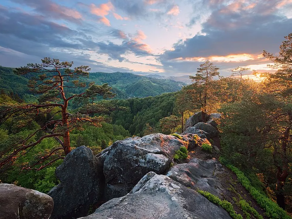 travel program image