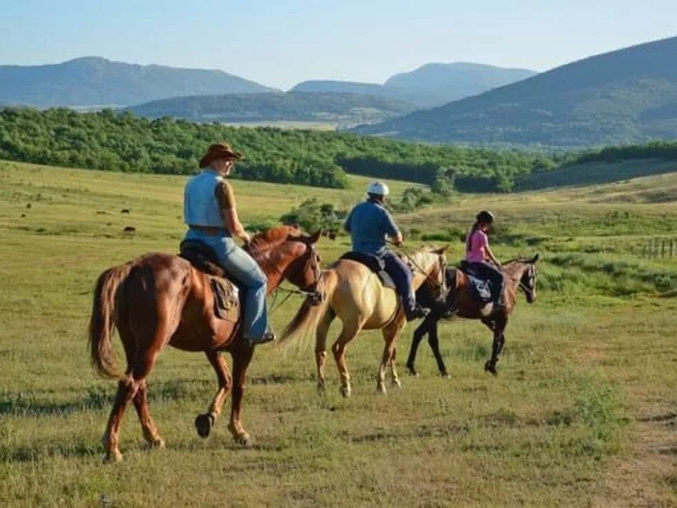 travel program image