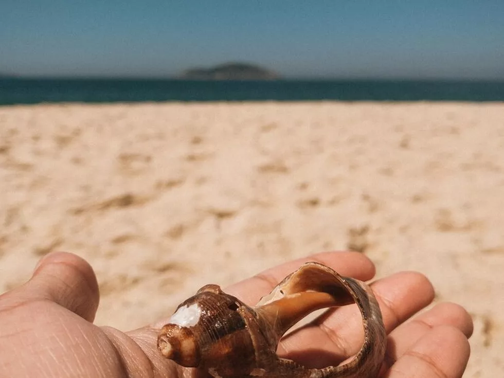 travel program image