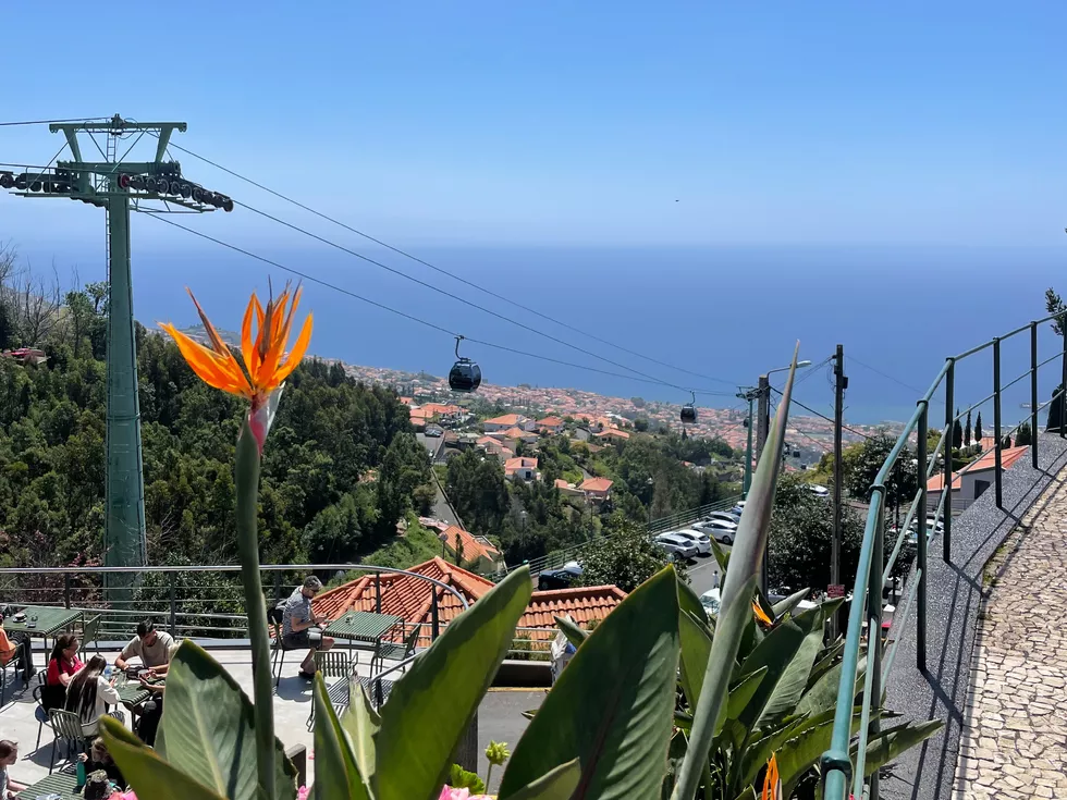 travel program image