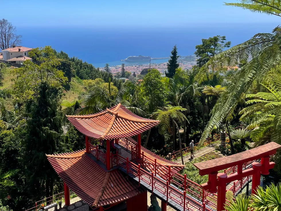 travel program image