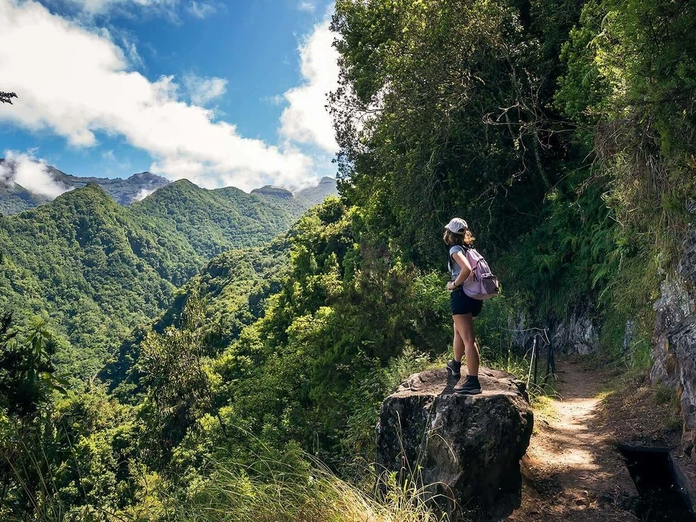 travel program image