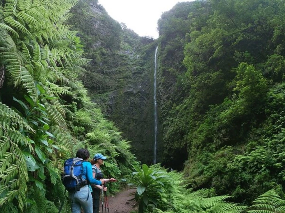 travel program image