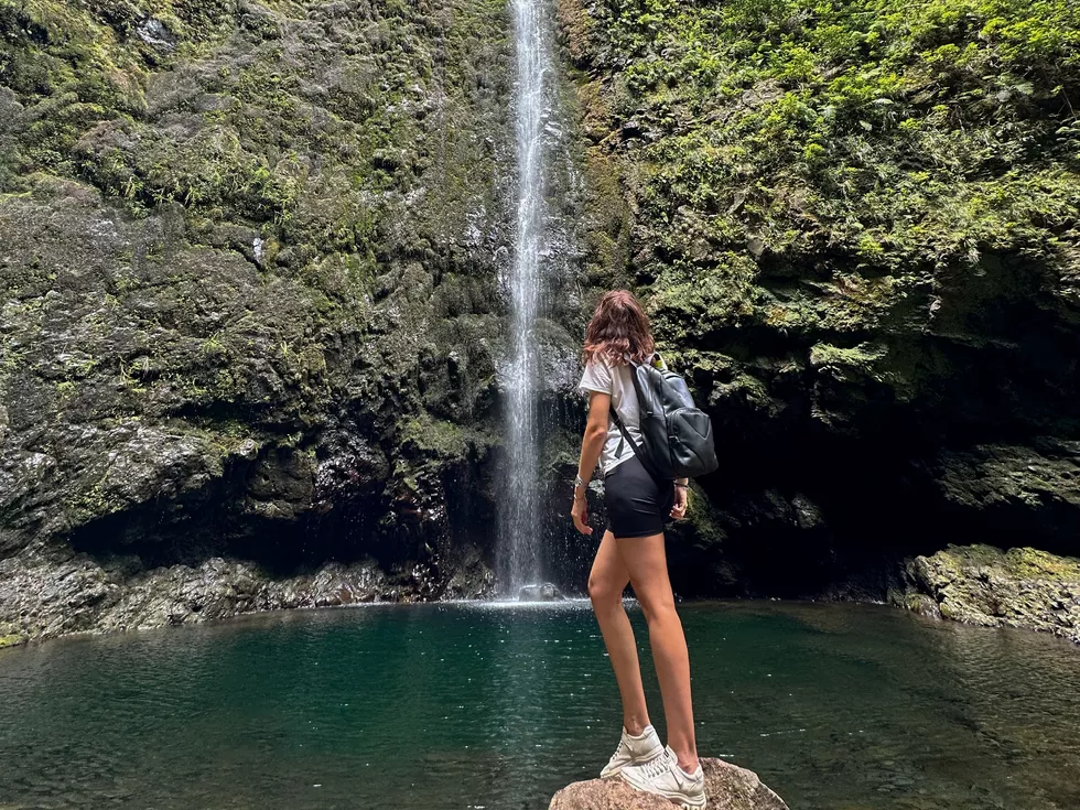 travel program image