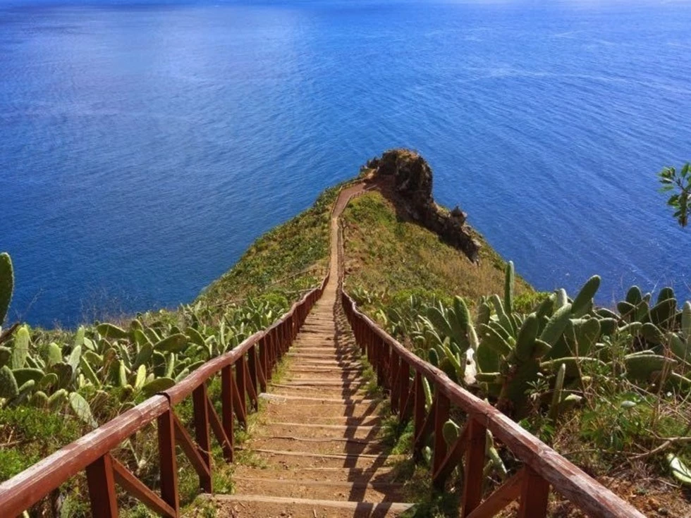 travel program image