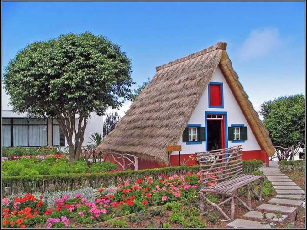 travel program image