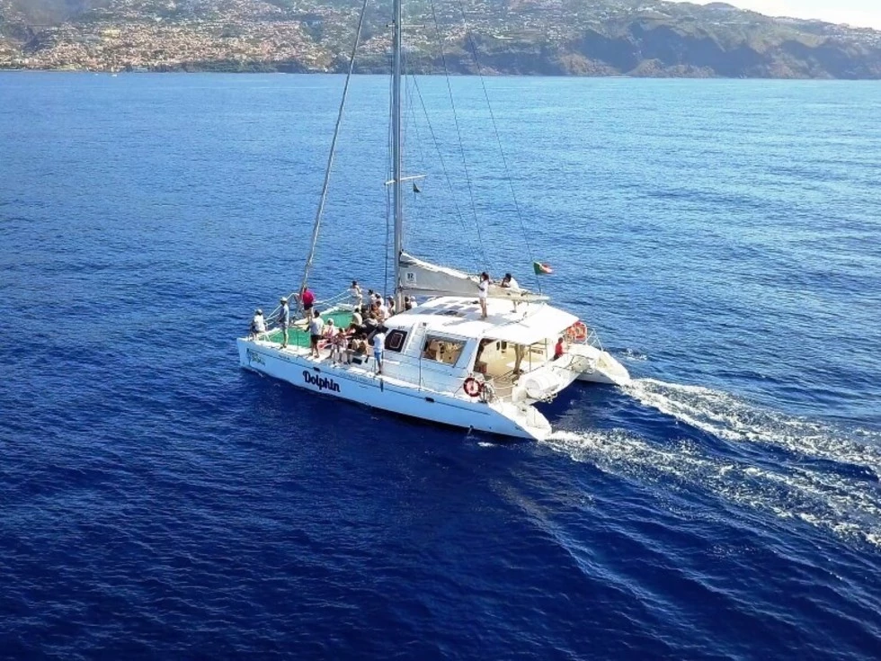travel program image