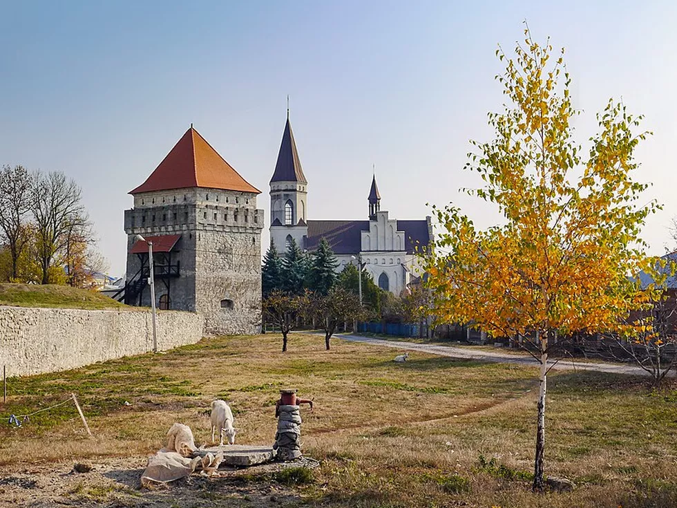 travel program image