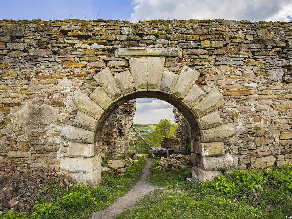 travel program image