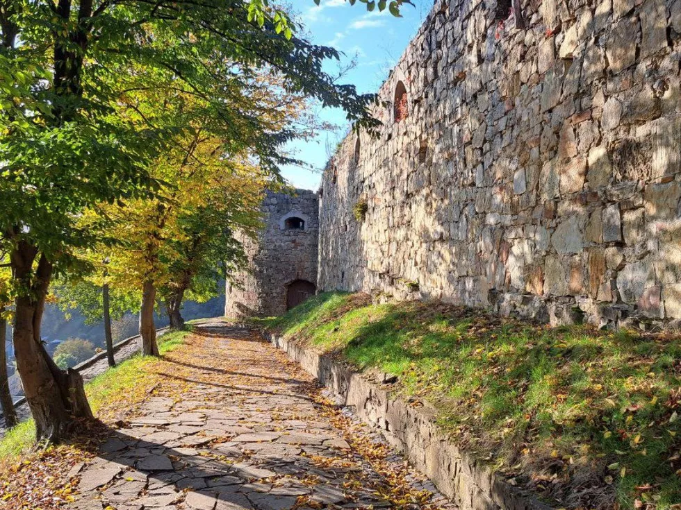 travel program image