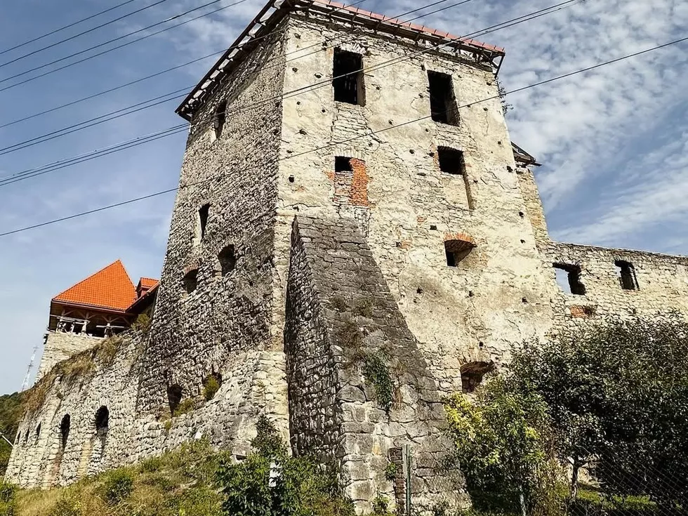 travel program image