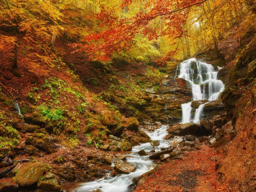 travel program image