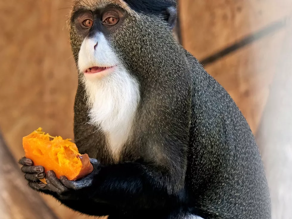 travel program image