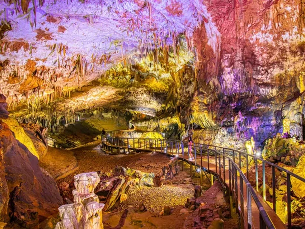 travel program image