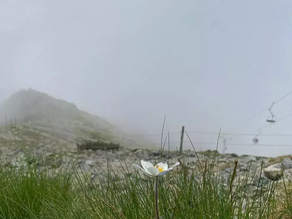 travel program image