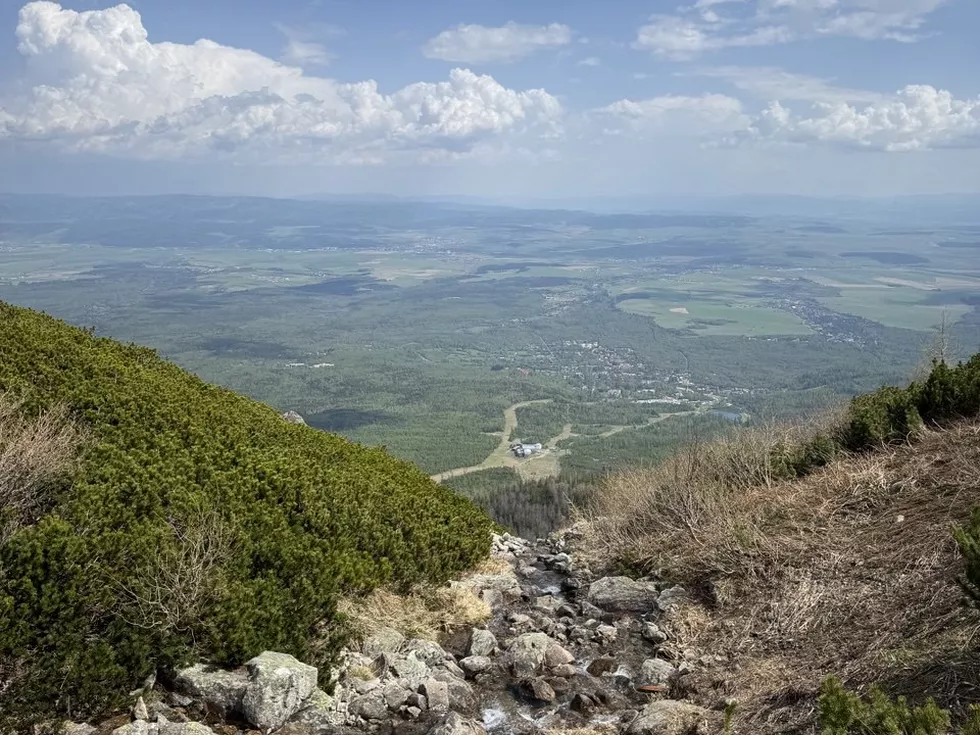 travel program image