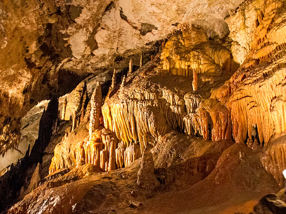 travel program image