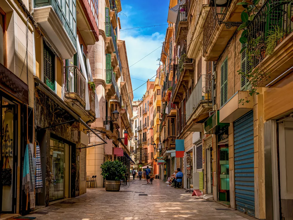 travel program image