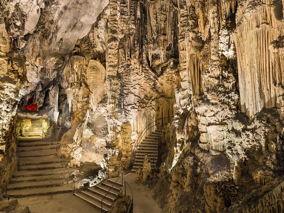 travel program image