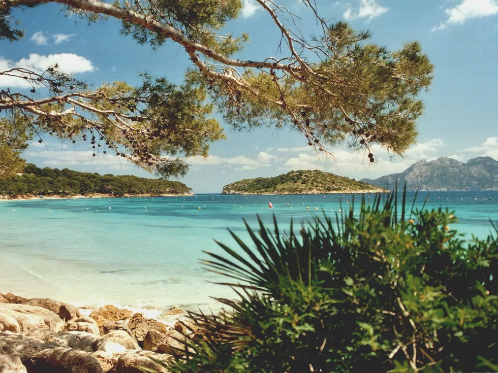 travel program image
