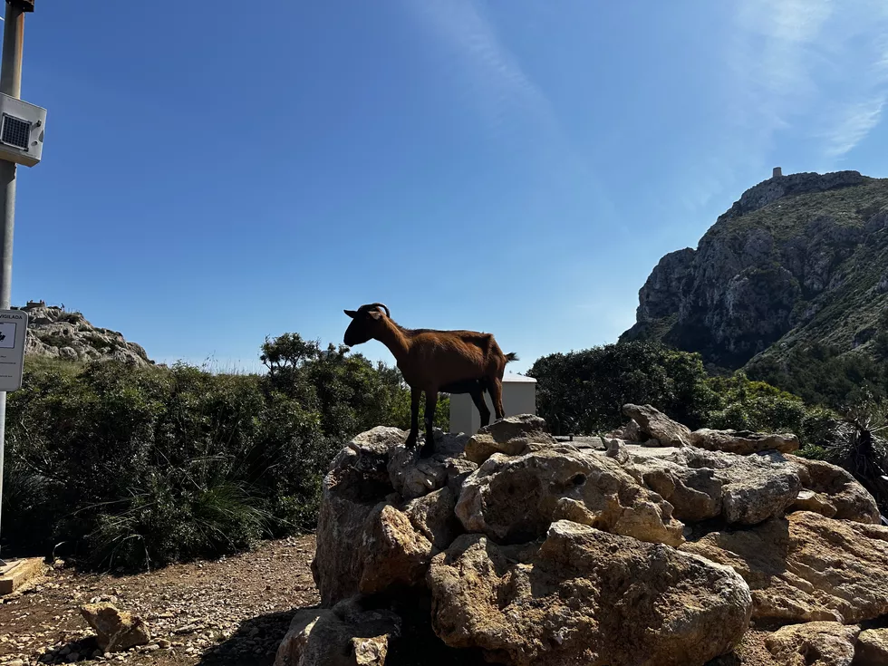travel program image