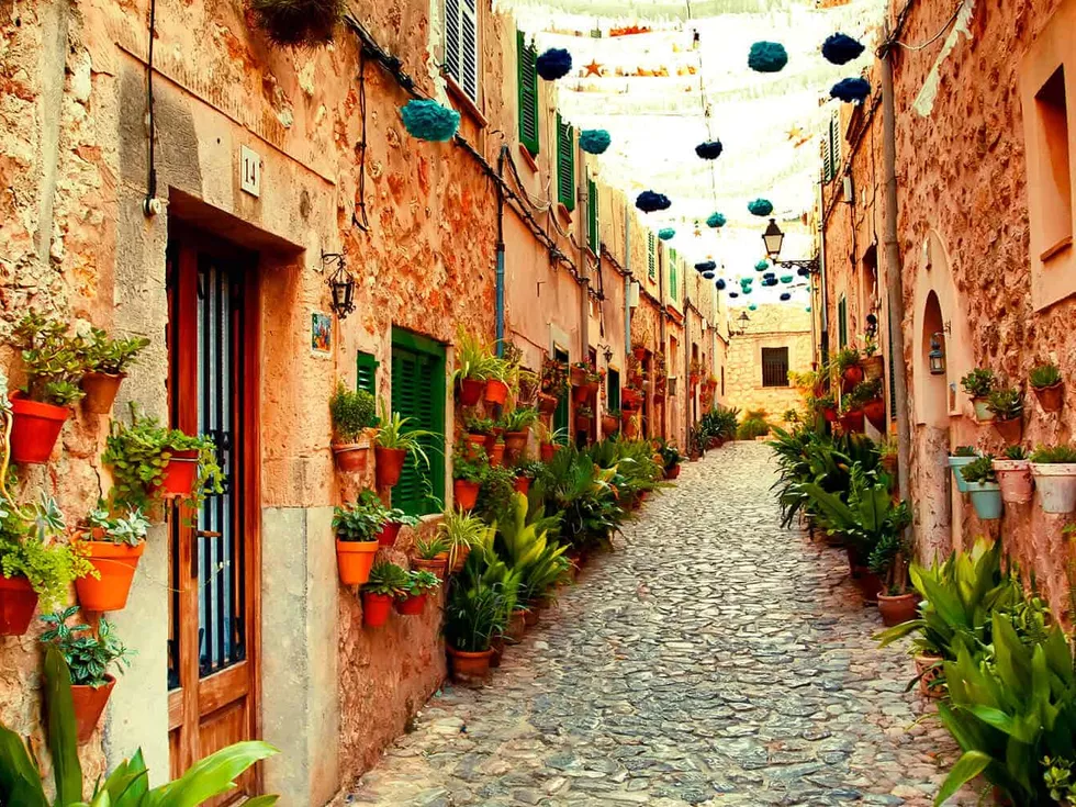 travel program image