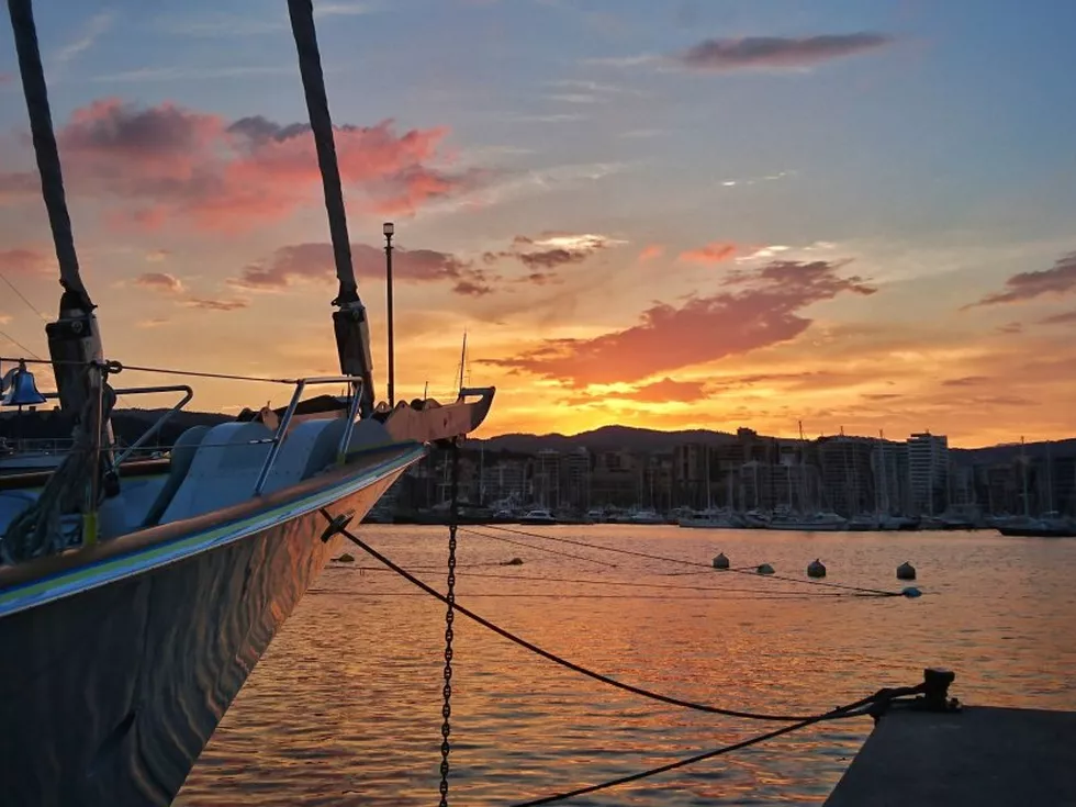 travel program image