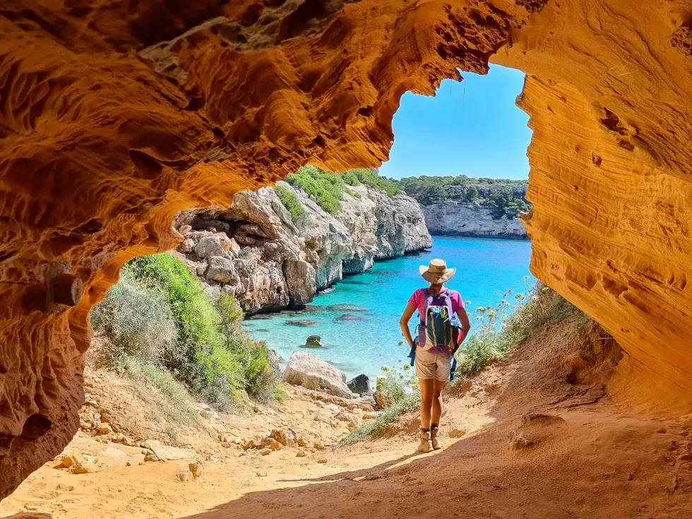travel program image