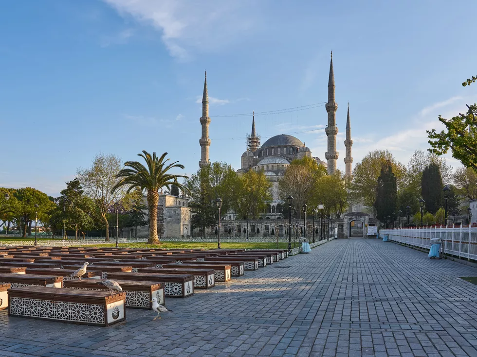 travel program image