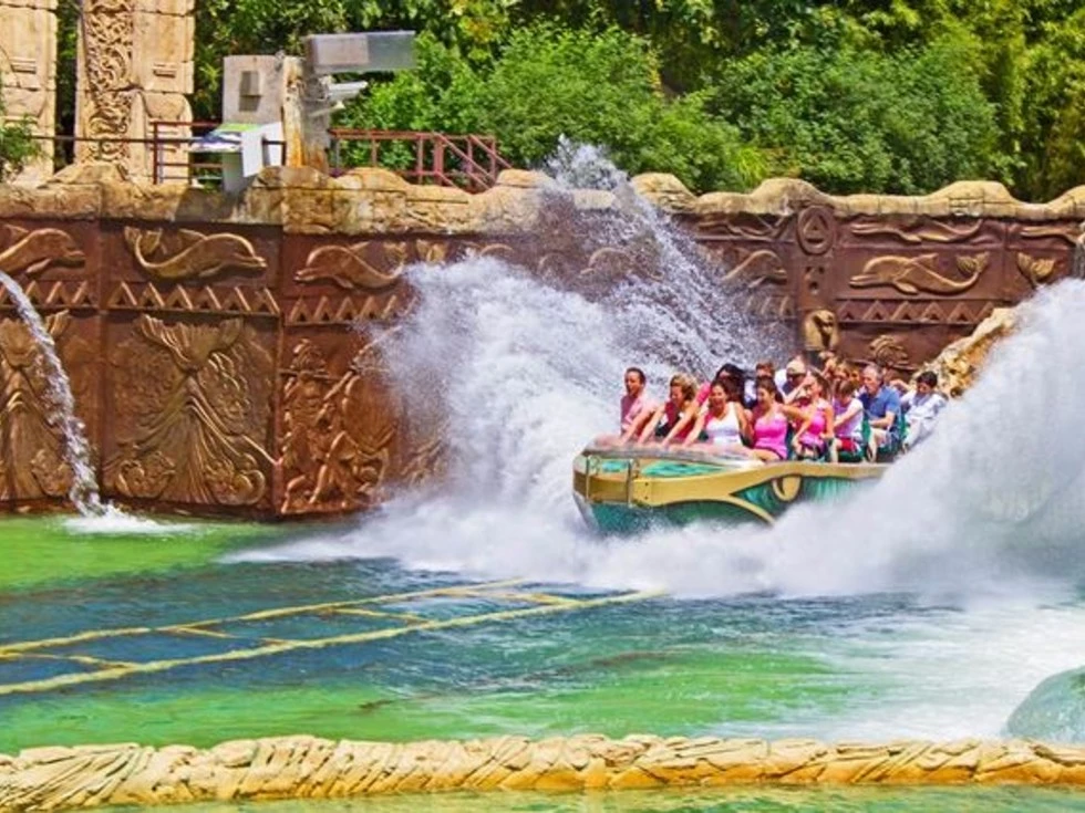 travel program image