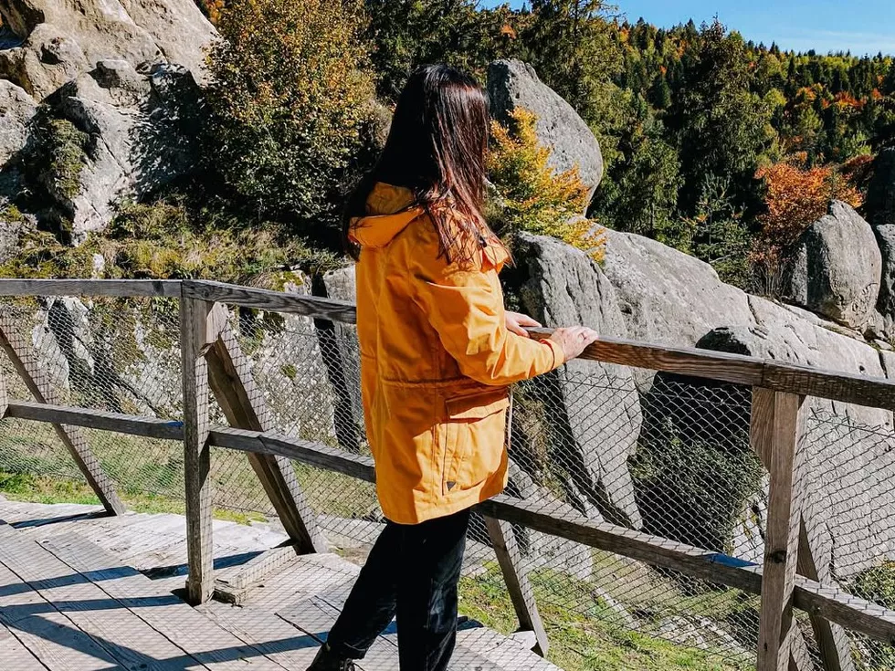 travel program image