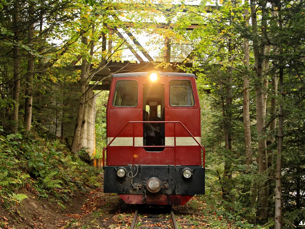 travel program image