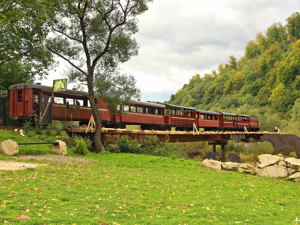 travel program image