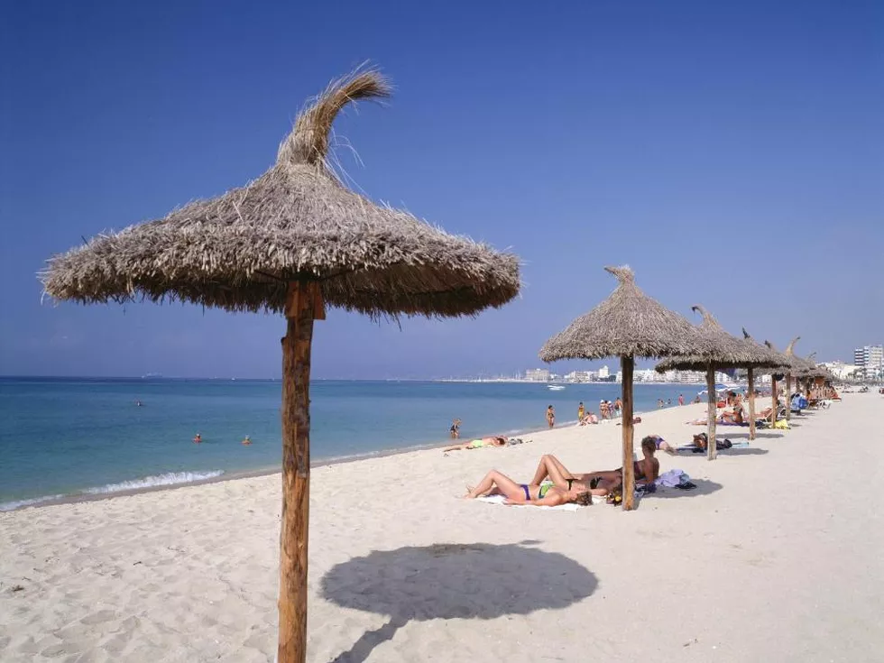 travel program image