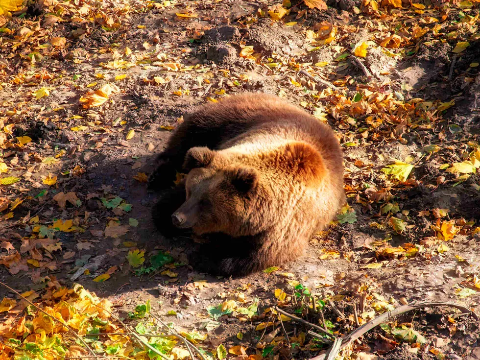 travel program image