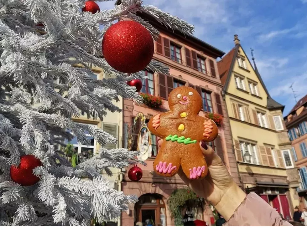 travel program image