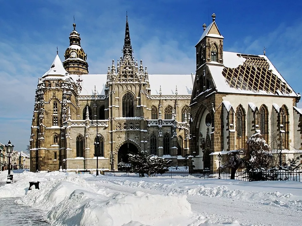 travel program image