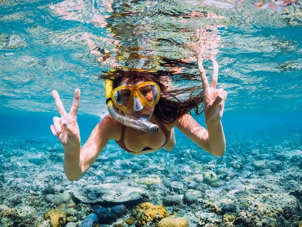 travel program image