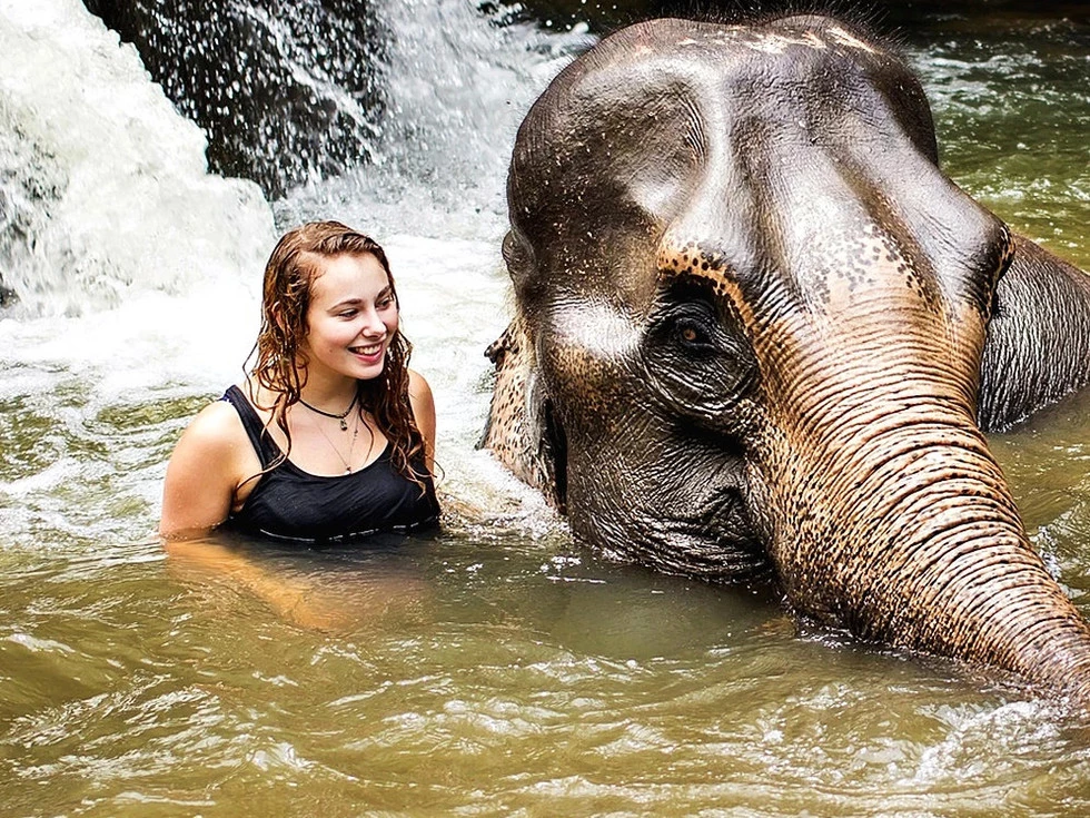 travel program image